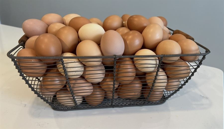 A wire basket full of brown farm-fresh eggs