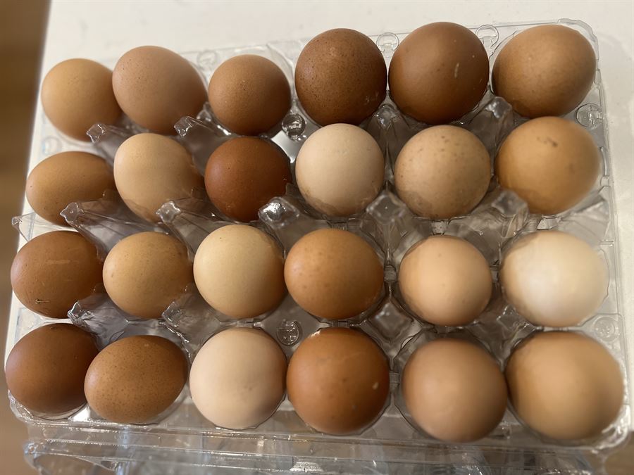 Cartons of brown farm-fresh eggs
