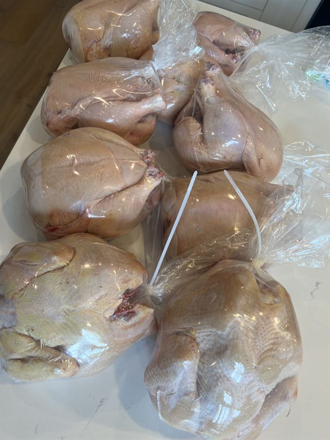 Whole pasture-raised chickens packaged for the freezer
